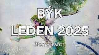 Výklad karet 🃏 BÝK - LEDEN 2025 ️️