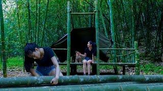 Exploring The Bamboo Forest - Efforts To Build A Shelter - Solo Bushcraft - Camping