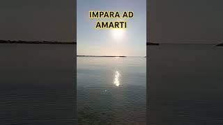 IMPARA AD AMARTI #amare #amore #frase #frasi #lvs #laverasquadra