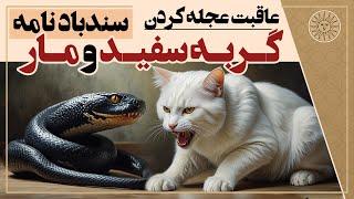 حکایت آموزنده گربه سفید و مار داستانی از سندباد نامه | حکایتی پند آموز درباره عاقبت عجله کردن