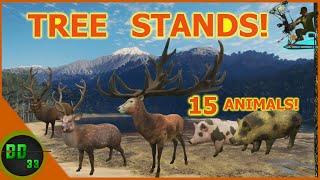 Incredible TREE STAND HUNT in New Zealand!! Call Of The Wild