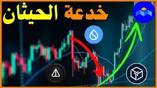 خدعة حيثان العملات الرقمية مع اقتراب الأرتفاع الكبير | افضل وقت للاستثمار في العملات البديلة.