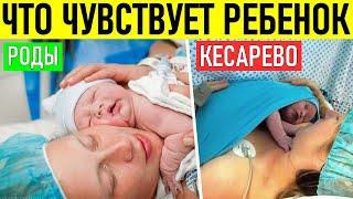 ЧТО ОЩУЩАЕТ РЕБЕНОК ПРИ РОДАХ И КЕСАРЕВОМ СЕЧЕНИИ Отличия кесарево от естественных родов для ребенка