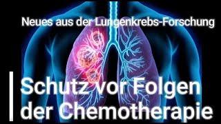 "Schutz vor Folgen der Chemotherapie" - Neues aus der Lungenkrebs-Forschung