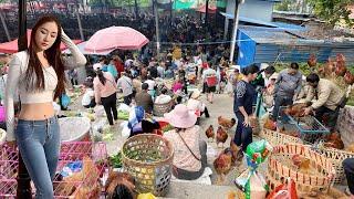 TRỜI ƠI KHÔNG NGỜ CHỢ PHIÊN Ở TRUNG QUỐC LẠI BÁN NHIỀU ĐẶC SẢN LẠ ĐẾN VẬY | CHỢ KIM THUỶ HÀ, VÂN NAM