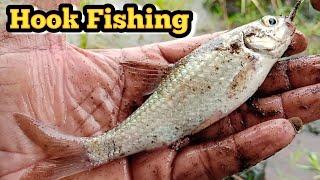 Fishing Video  || Hook Fishing || Float Fishing || Fish Catching || Fishing tips