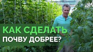 Чем удобрять огород? | Технология изобилия