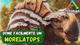 APRENDA A DOMAR FACILMENTE UM MORELATOPS/ CAMELSSAUROS NO ARK!