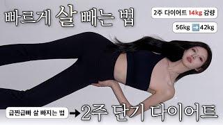진.짜.살 확-빼는 법‼️2주 -14kg 감량,  단기 다이어트, 56kg️42kg, 급찐급빠 살 빠지는 법 [EP.137]