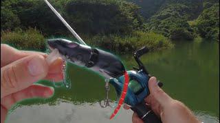 Fishing a RAT LURE for Big Inanda Dam Bass