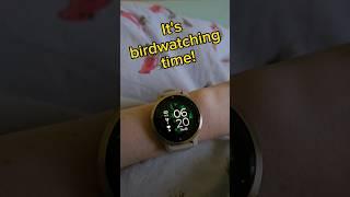 What time is it?  #nature #birdwatching #birds