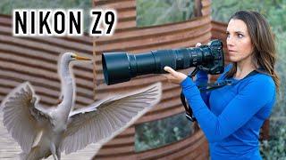 Nikon Z9 - Can it Make You a Better Photographer? A Different Kind of Review