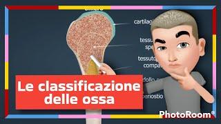 La classificazione delle ossa