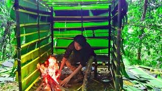 Surviving in the Deep Forest – Building a Natural Shelter with Bamboo & Banana Leaves