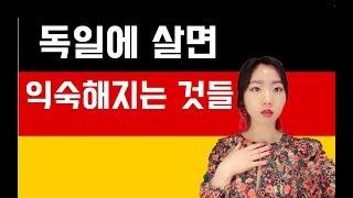 DIAJ꿀잼 독일생활 독일에 살면 익숙해지는 것들