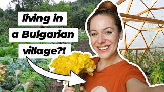 Volunteering at a PERMACULTURE Farm in BULGARIA 