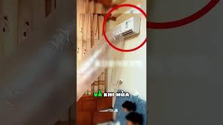 Sự sung sướng của chú chó có thể khiến bạn phải ghen tị 