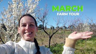 MARCH Farm Tour | Spring on My Central Portugal Farm #61