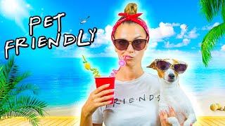 PET FRIENDLY ОТПУСК  | Отдых с собакой: жильё, транспорт, собираем чемодан