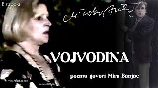 Miroslav Mika Antić – VOJVODINA (Tekst)