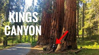 KINGS CANYON National Park for a Perfect Day | TOP 5 to do in ONE DAY