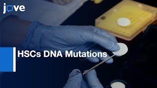 HSCs DNA Mutations Identification | Protocol Preview