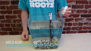 How to Set Up your Water Garden