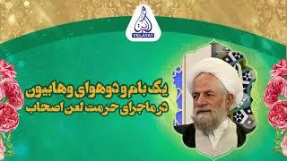 کلیپ/استاندارد عجیب و دوگانه ی وهابیون در مورد لعن صحابه