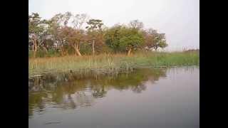 Xudum Delta Lodge, Okavanga Delta, Botswana