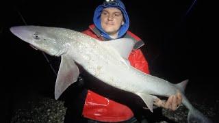 epic nights fishing on the south coast sunset to sunrise beach fishing in the UK