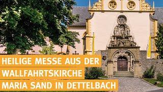 Heilige Messe live aus Dettelbach (katholischer Gottesdienst) - 29.06.2024