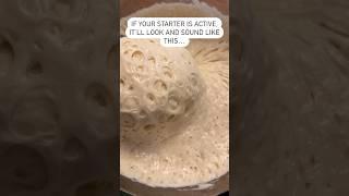 How to Know if Your Sourdough Starter is Active