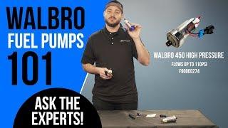 Walbro Fuel Pumps - Everything You Need to Know for 500+whp