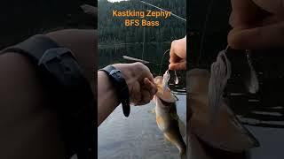 Kastking Zephyr BFS reel #fishing #bassfishing #ultralightfishing #bass #kastking #bfs