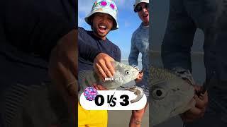 CANDY vs SHRIMP   which bait works better? #fishing