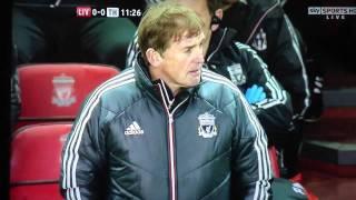 Cat on the pitch at Anfield