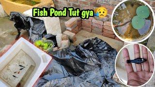 Aaj Fish Pond Todna Para  | Drum Fish pond  | Free Tubifex Worms