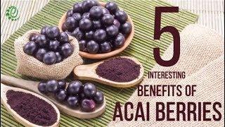 5 Interesting Benefits Of Acai Berries | Organic Facts