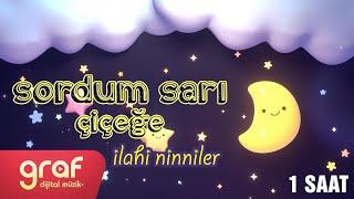 Sordum Sarı Çiçeğe | İlahi Ninniler (1 Saat Ninni)