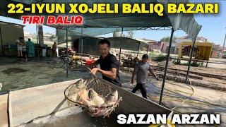 22-ИЮНЬ ХОЖЕЛИ БАЛЫК БАЗАРЫ ТИРИ БАЛЫК КАНША