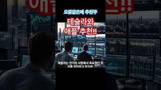 요즘같은 시기에 추펀종목. #테슬라 #테슬라관련주 #테슬라주가전망 #애플 #애플주가 #아이폰 #투자전략 #이슈 #주식시장 #주식투자 #투자 #주식시장전망 #코스피