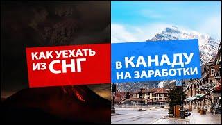 КАК УЕХАТЬ ИЗ СНГ В КАНАДУ НА ЗАРАБОТКИ? / ДЕТАЛЬНЫЙ ПЛАН ПО ПЕРЕЕЗДУ В КАНАДУ ПО РАБОЧЕЙ ВИЗЕ