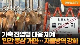 가축 전염병 대응 체계 '민간 중심' 개편…자율방역 강화 / 연합뉴스TV (YonhapnewsTV)