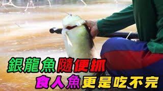 銀龍魚隨便抓，食人魚更是吃不完，土著人讓你知道什麼叫資源豐富《活在當下》