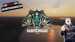 Willkommen bei RaubfischRadar – Dein Kanal für‘s Raubfischangeln!  | Fishing | Angeln | Ködertests