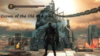 Литые клины и Кожа пустого DLC Crown of the Old Iron King Dark souls 2