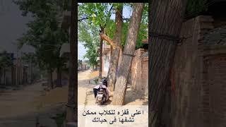 اطول قفزه فى العالم ‍️