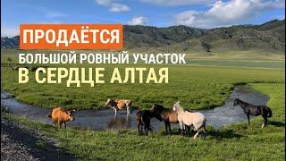 Купить большой участок в Горном Алтае рядом с Белухой