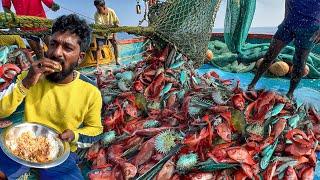 WOWCaught a Lot of Unnimary Fishes in Deep Sea | Mangalore Boat | lunch special Tuna fish curry