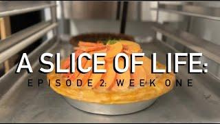 A Slice Of Life: Episode 2
